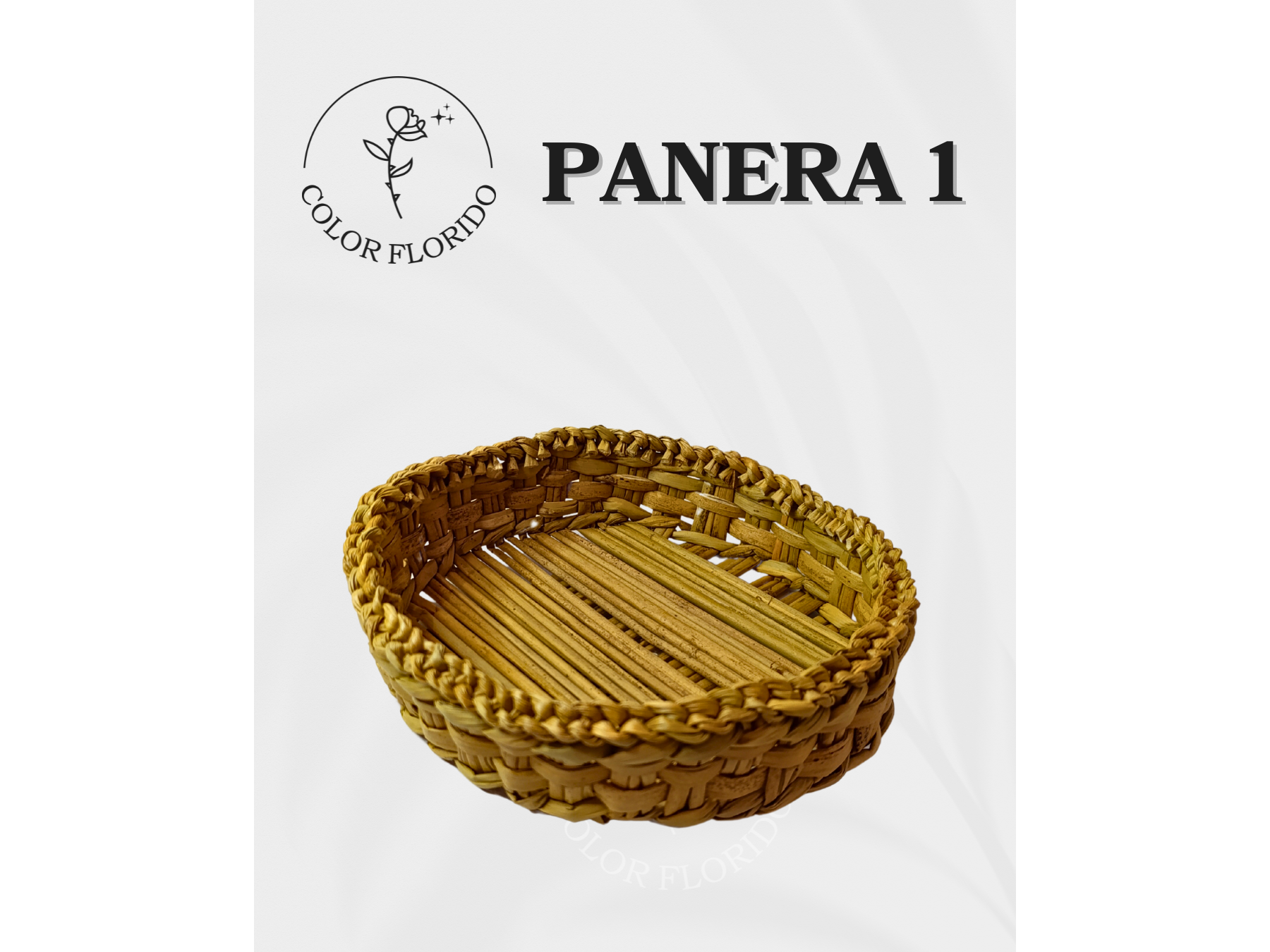 Panera nro1