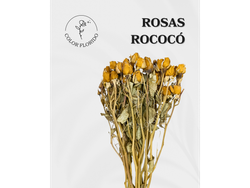 Rosas rococó