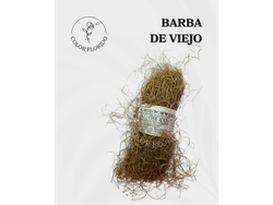 Barba de viejo