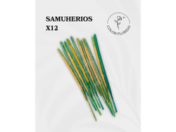 Sahumerios x12