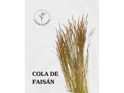 Cola de faisan