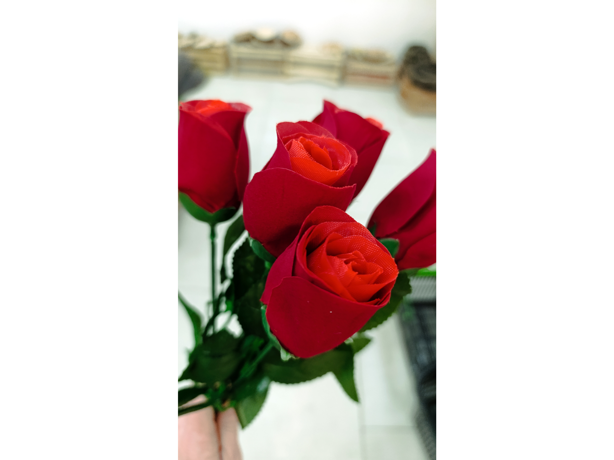 Rosa individual Chica