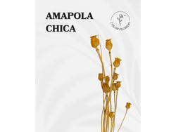 Amapola chica x 10