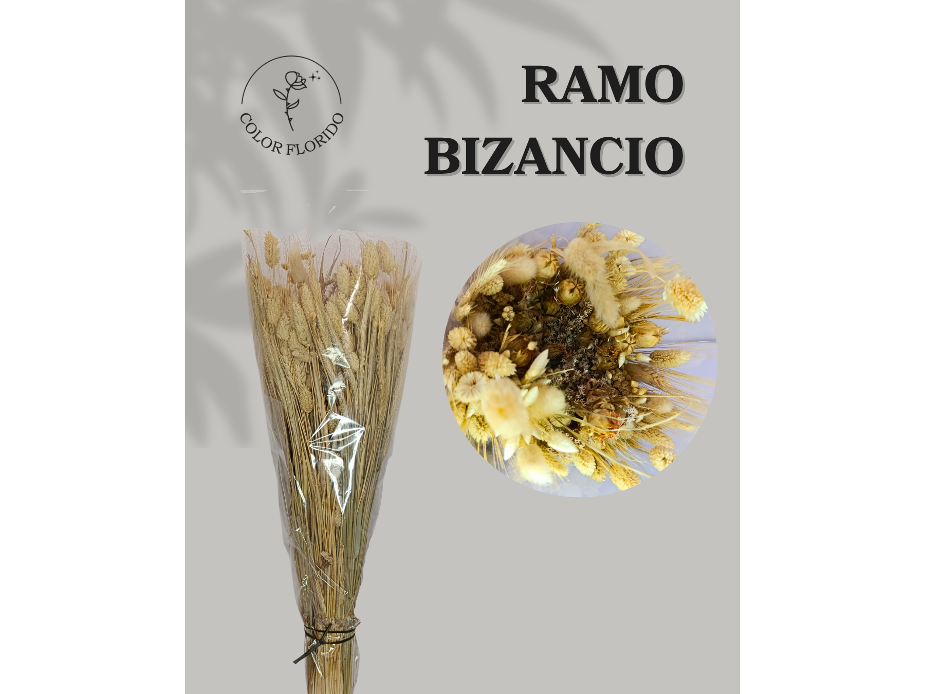 Bizancio