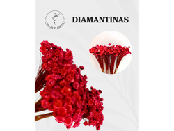 Diamantinas