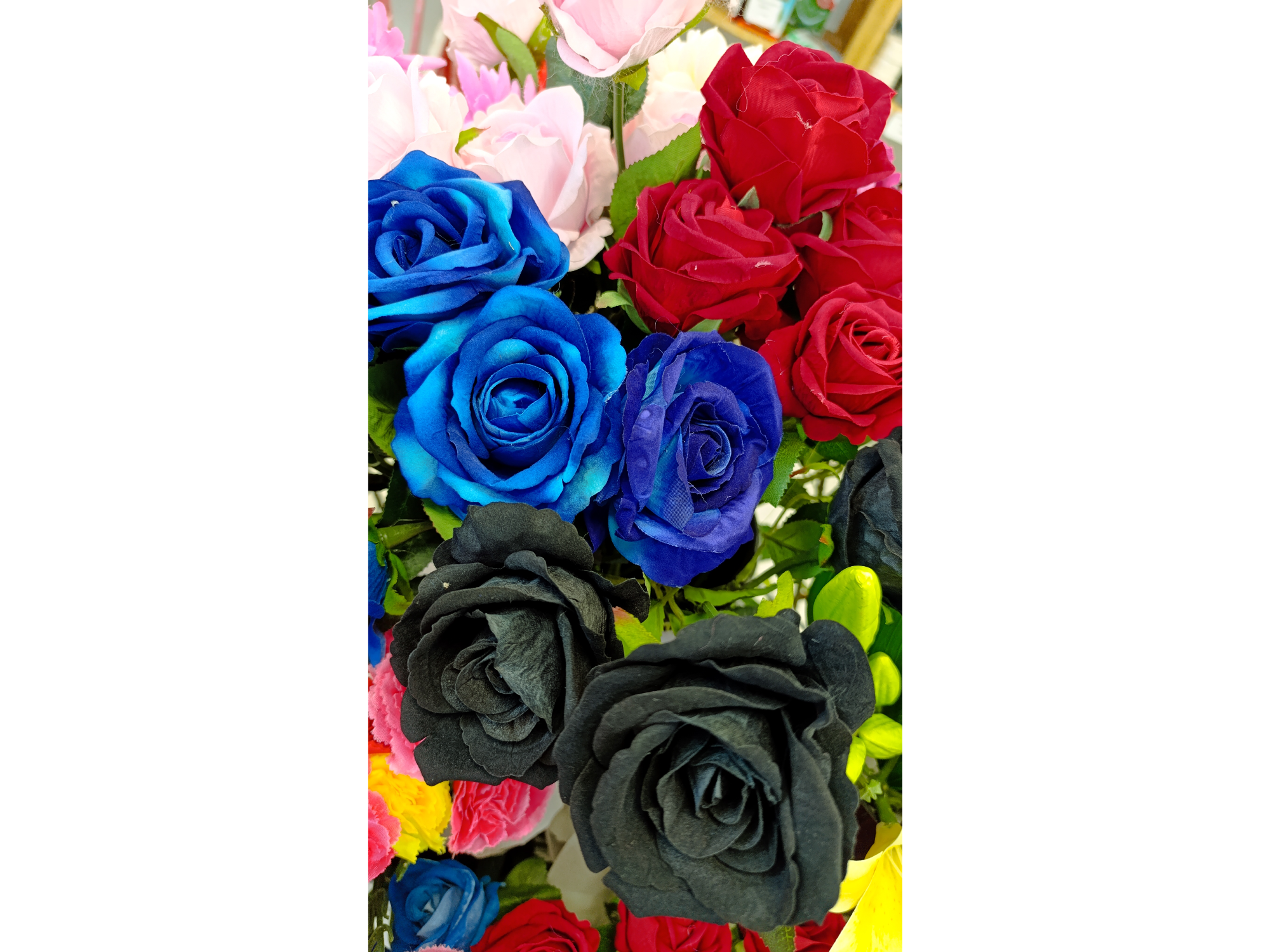 Rosa individual Grande