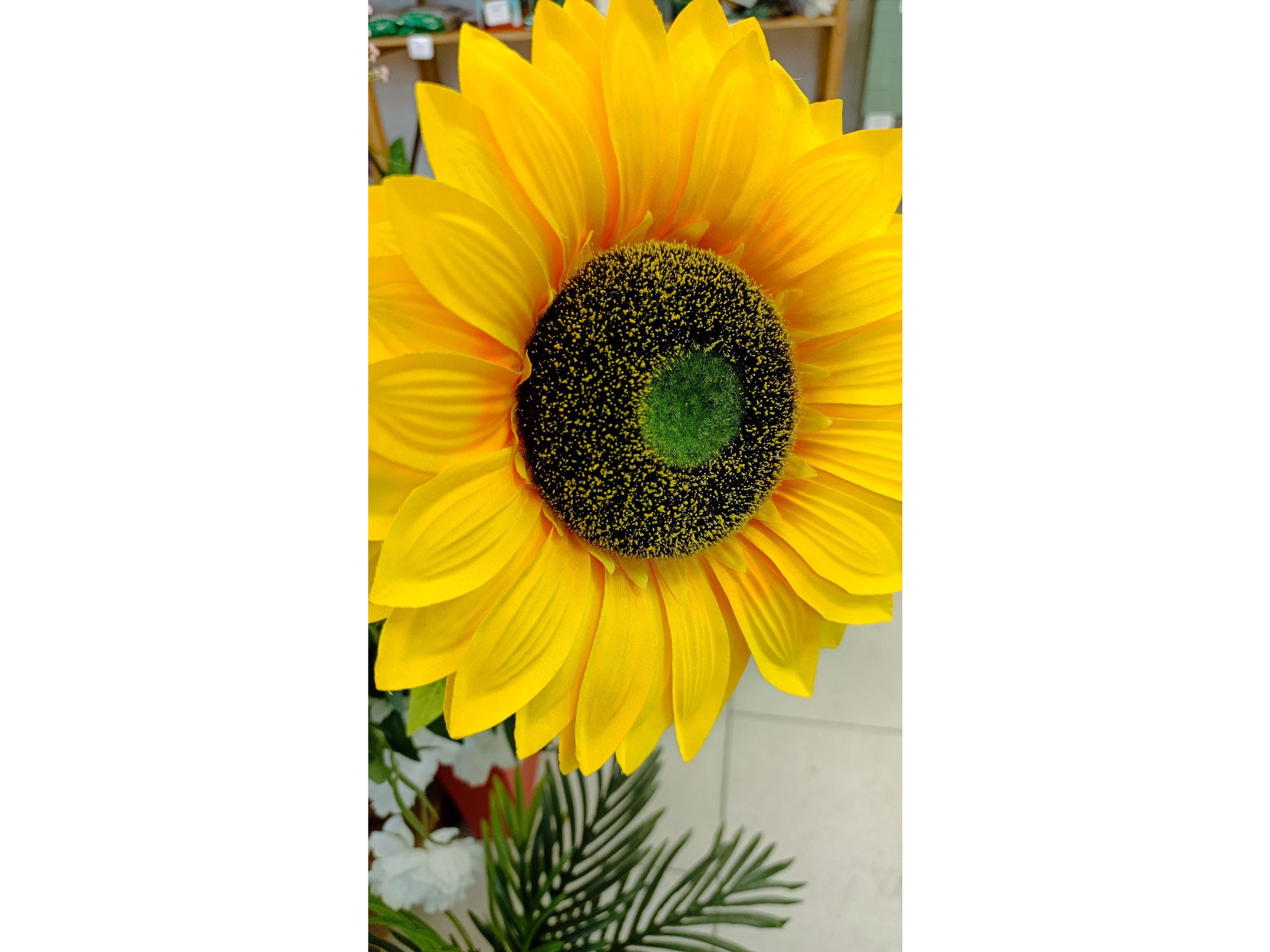 Girasol Grande