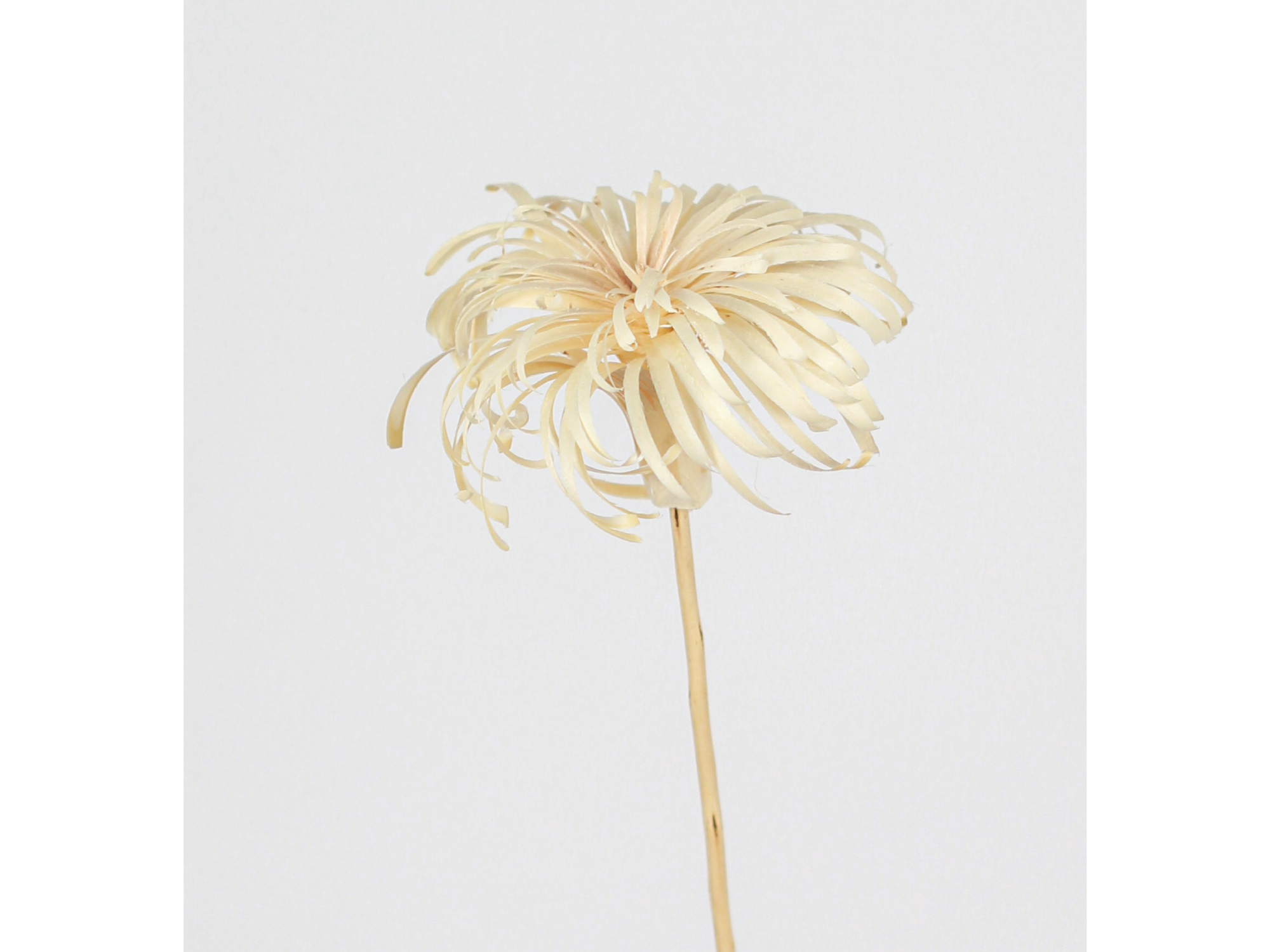 Flor de mimbre Grande