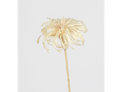 Flor de mimbre Grande