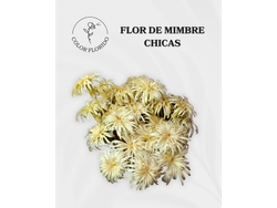Flor de mimbre chica x 3