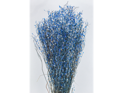 Arroz nacarado/ Falso Lino