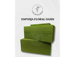 Esponja floral Oasis