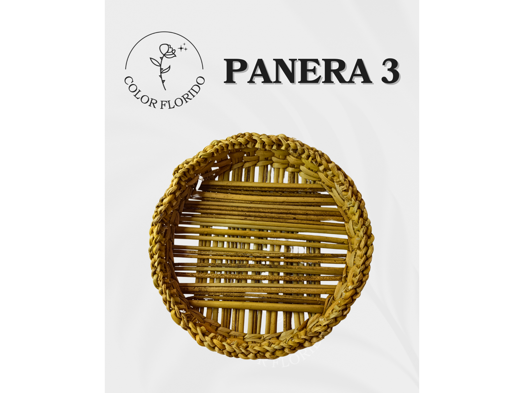 Panera nro3