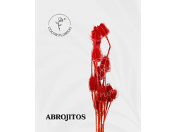 Abrojitos