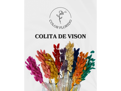 Colitas de vison chica