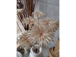 Flor de mimbre mediana