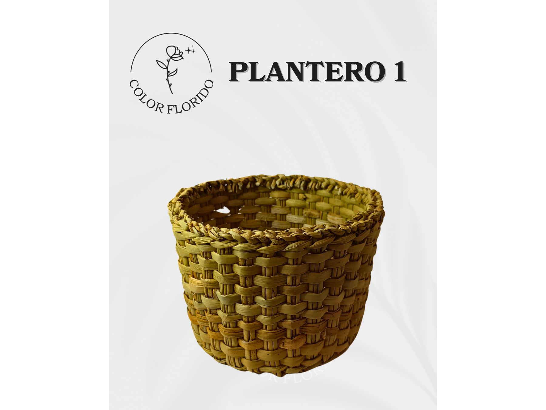 Plantero nro 1