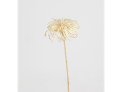 Flor de mimbre Chica