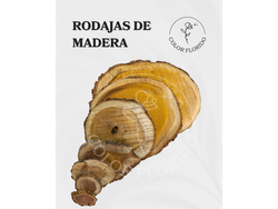 Rodaja de madera nro  2 - 8CM.