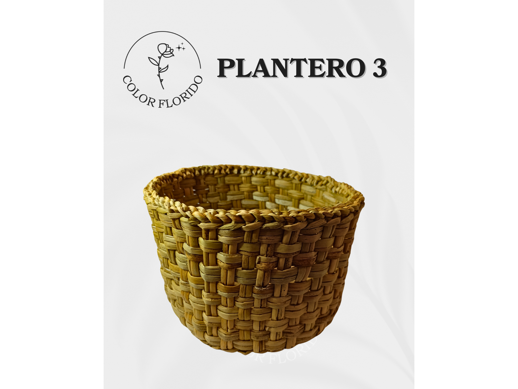 Plantero nro 3