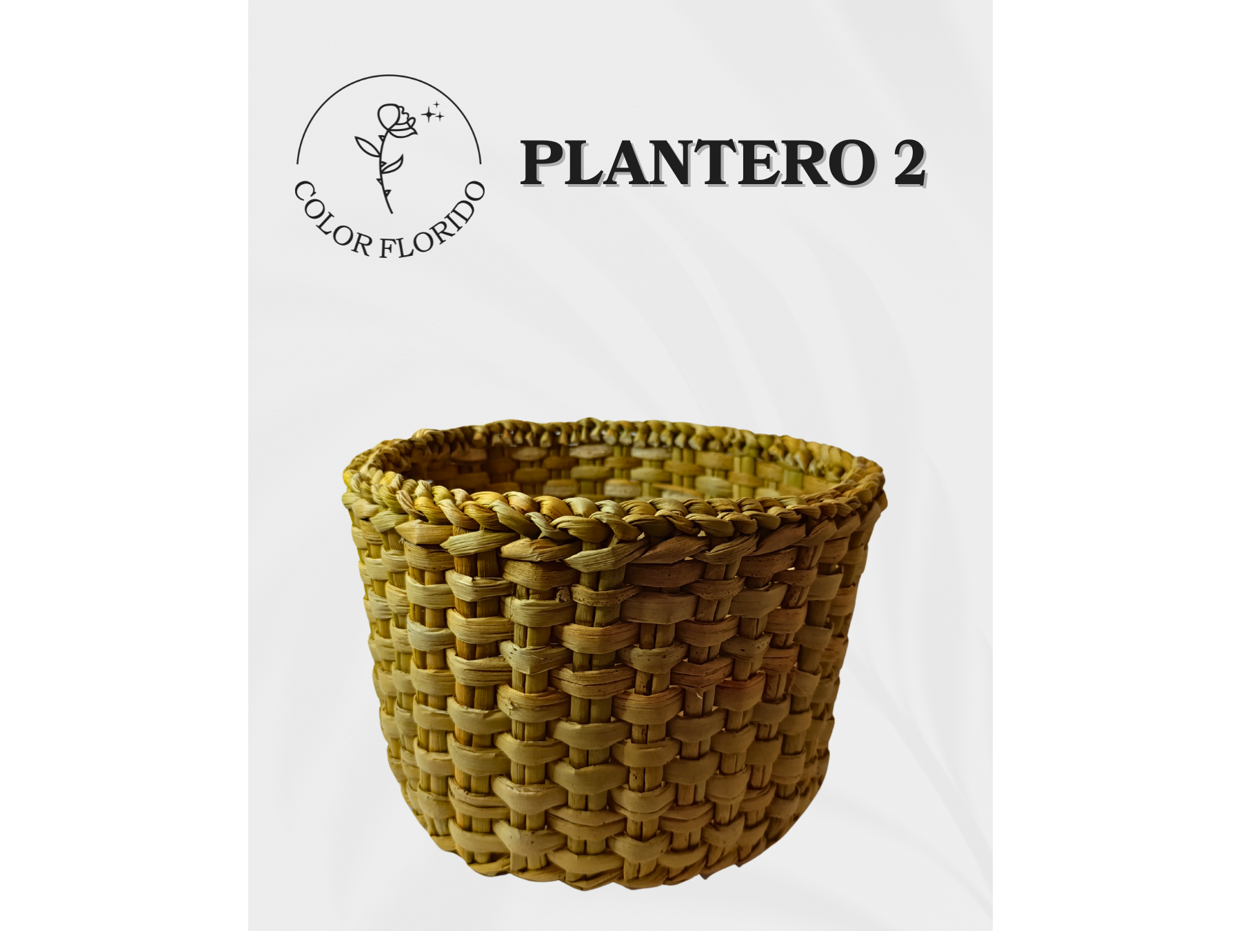Plantero nro 2