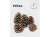 Piñas x 1 unidad