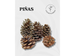 Piñas x 1 unidad