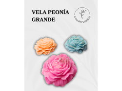Velas Peonia Grande