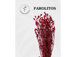 Farolitos