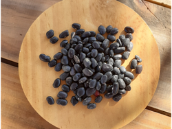 Poroto negro orgánico