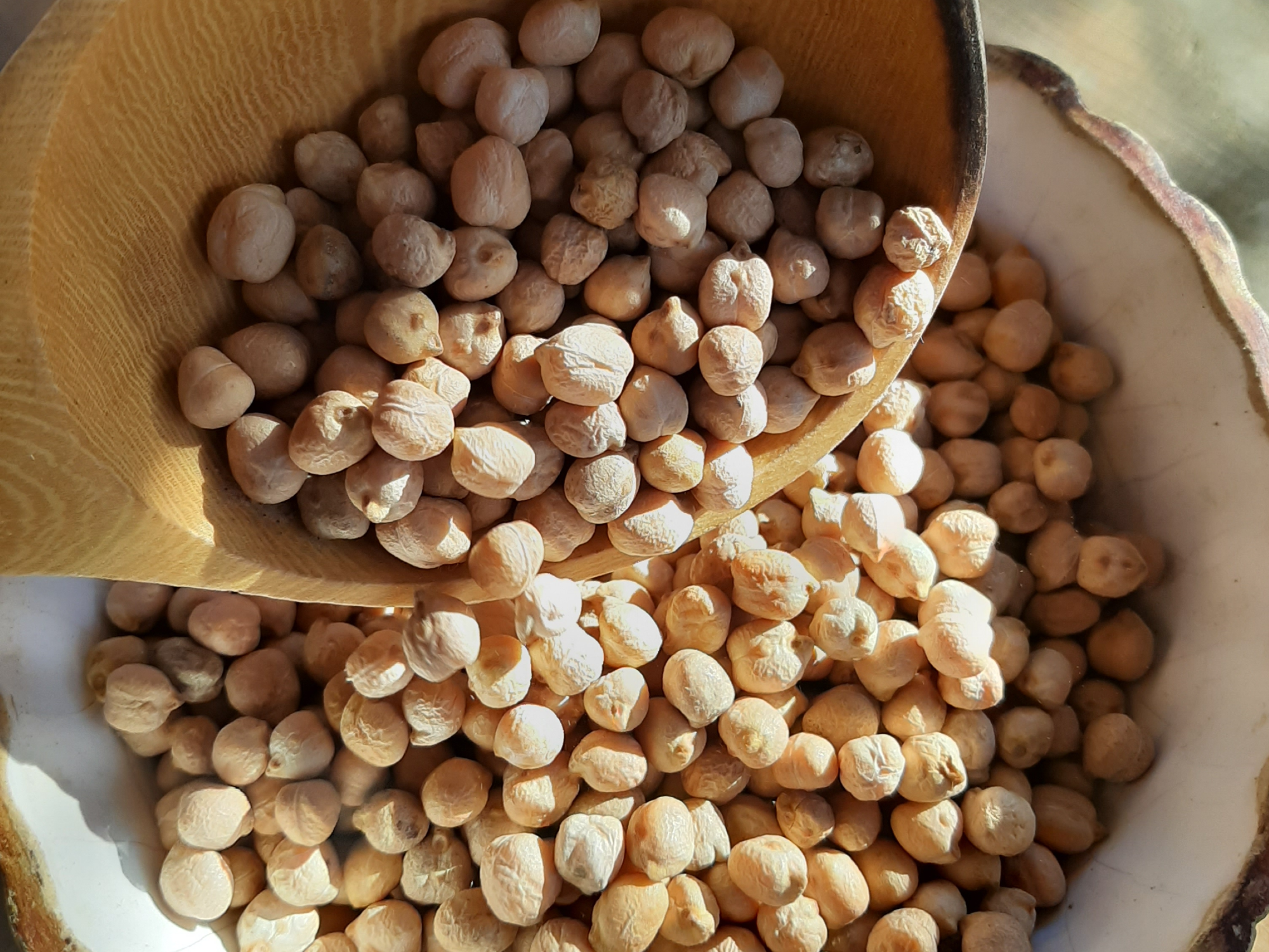 Garbanzos orgánicos