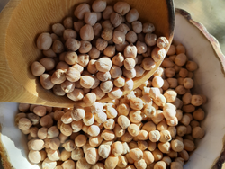 Garbanzos orgánicos