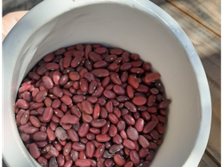 Poroto colorado orgánico