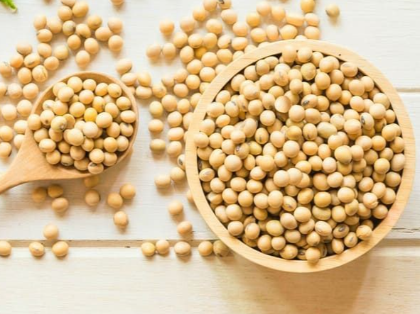 Poroto de soja orgánica