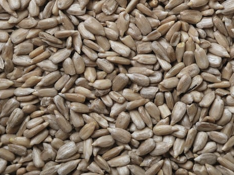Semillas de girasol peladas orgánicas