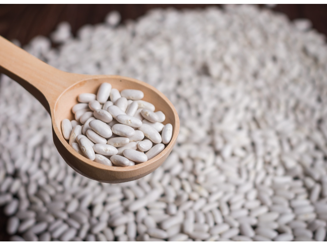 Poroto Alubia orgánico