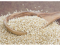 Quinoa blanca desaponificada
