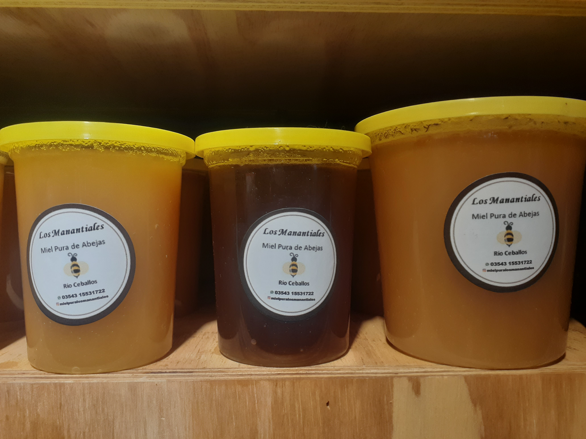 Miel pura "Los Manantiales"