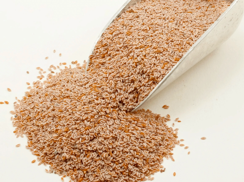 Semillas de psyllium