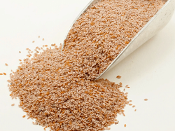 Semillas de psyllium