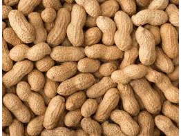 Maní con cáscara KING