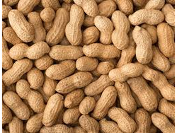 Maní con cáscara KING