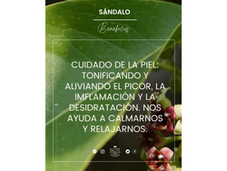 Aceite esencial de Sándalo x 10ml