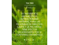 Aceite esencial de Tea-Tree x 10ml