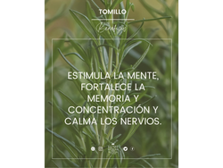 Aceite esencial de Tomillo x 10ml
