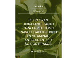 Aceite vehicular de jojoba por 30ml