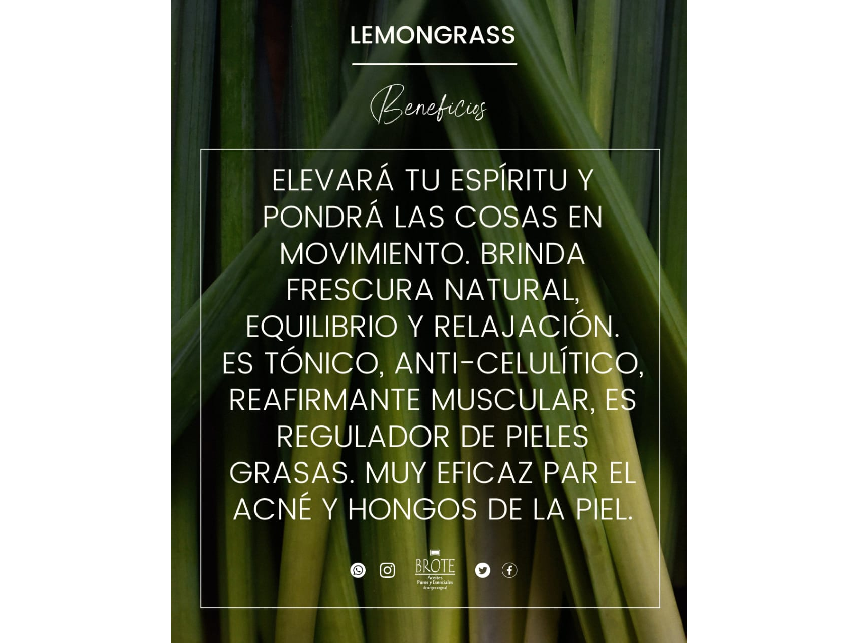 Aceite esencial de Lemongrass