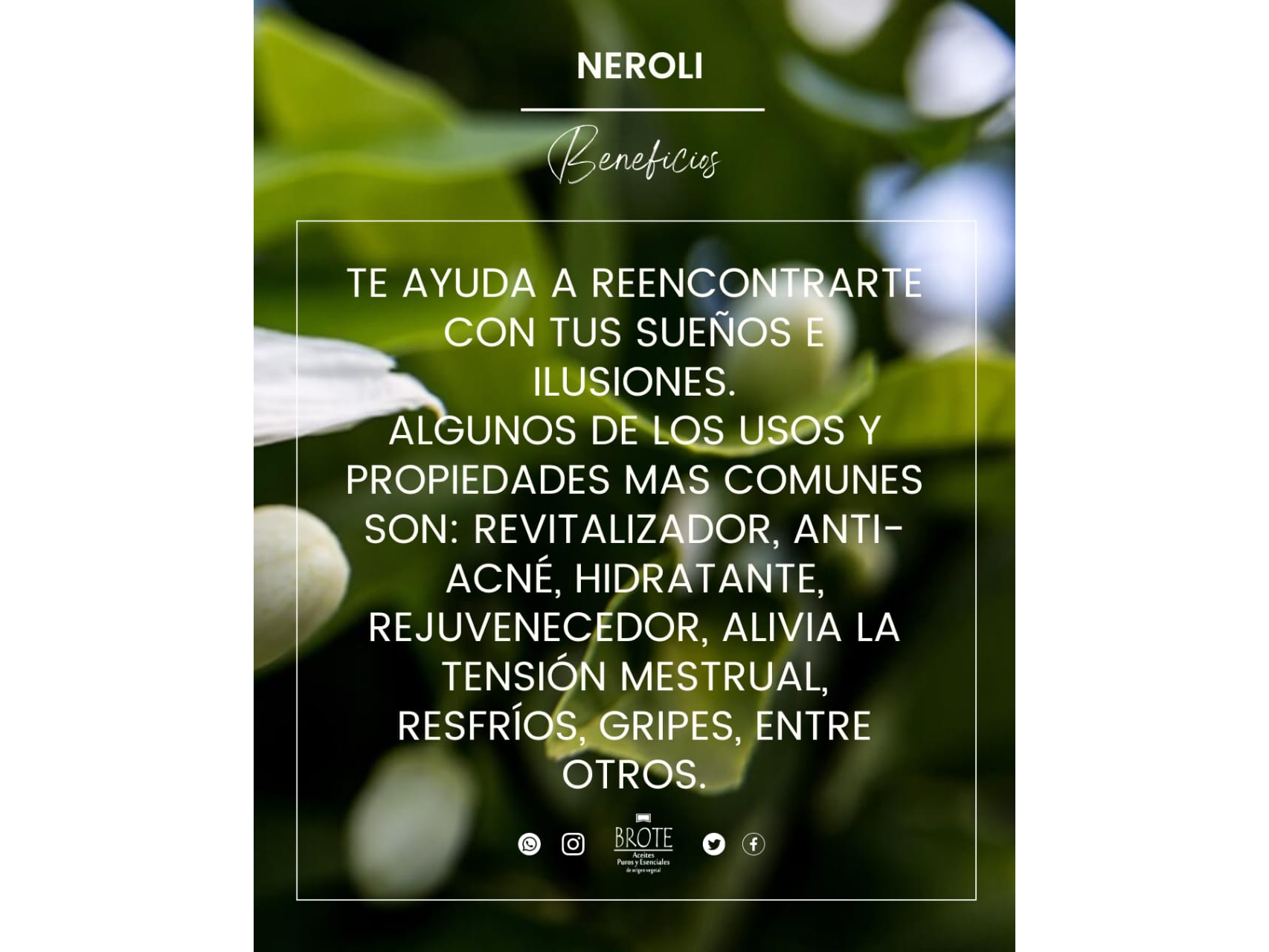 Aceite esencial de Neroli