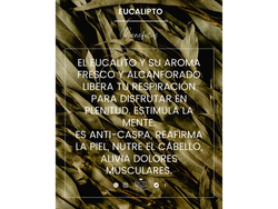 Aceite esencial de Eucalipto