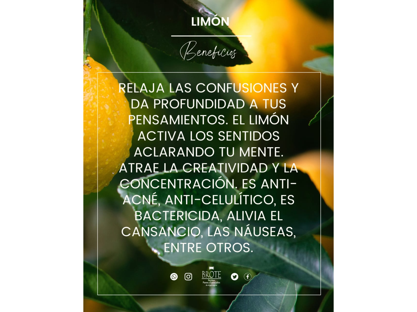 Aceite esencial de limón x 10ml